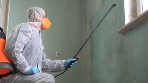 Mold Remediation for Vacation Homes in Lakewood, SC