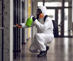 Best Mold Remediation for Healthcare Facilities  in Lakewood, SC